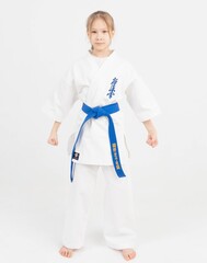 Доги KYOKUSHINKAI- BFS Standard/ Плотность 240 г/м2