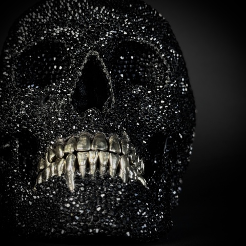 Череп человека в стразах