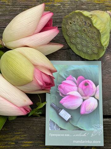 Подарочный сертификат