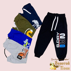 Брюки спортивные хлопок (5-8) 240817-XS1010