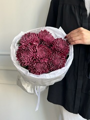 Моно из одноголовой хризантемы сливового оттенка 7 шт