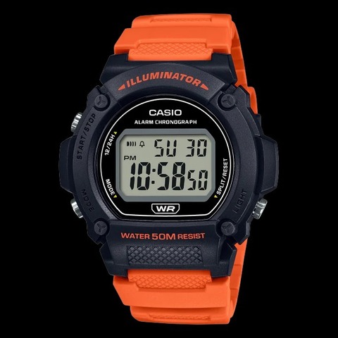 Наручные часы Casio W-219H-4A фото