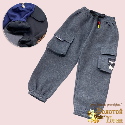 Брюки утепленные м (3-7) 240817-XS1047
