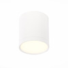 Светильник потолочный ST Luce ST113.532.05