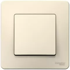 ВЫКЛ.1-кл.С/У, 10А 250B, МОЛОЧНЫЙ  BLNVS010102