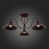 Люстра потолочная Evoluce Ciolla SLE120402-03