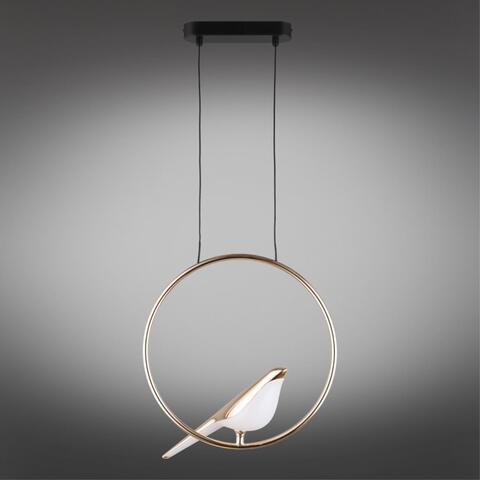 Подвесной светодиодный светильник Aployt Astor APL.822.06.10