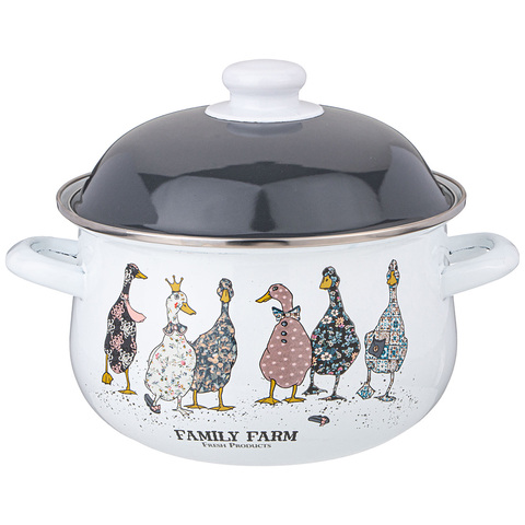 Кастрюля Agness 