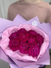 Букет из малиновых гвоздик 9 шт