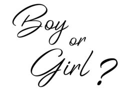 Наклейка, Boy or Girl, на шар 12