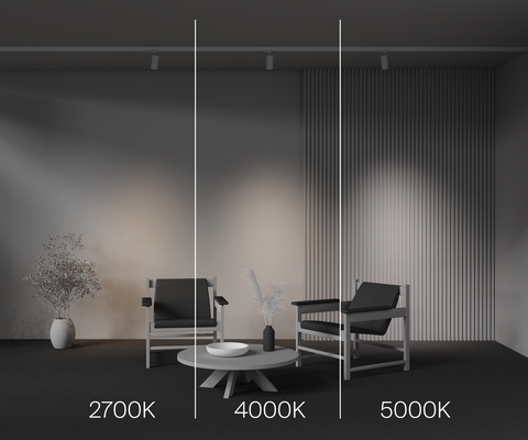 Трехфазный трековый светодиодный светильник Maytoni Focus Led TR197-3-12WCCT-M-W