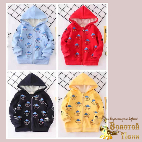 Толстовка начес (1-4) 240817-XS1054