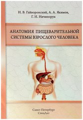 Анатомия пищеварительной системы взрослого человека