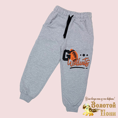Брюки спортивные хлопок (5-8) 240817-XS1010