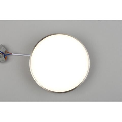 Потолочный светодиодный светильник Aployt Evon APL.0114.19.18