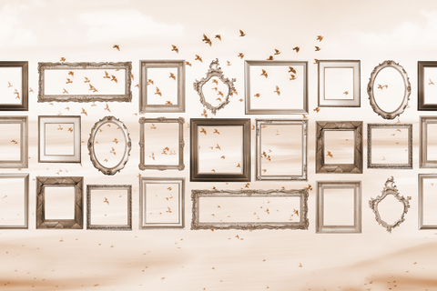 Коллекция FRAME