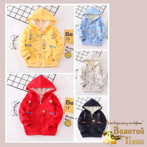 Толстовка начес (1-4) 240817-XS1055