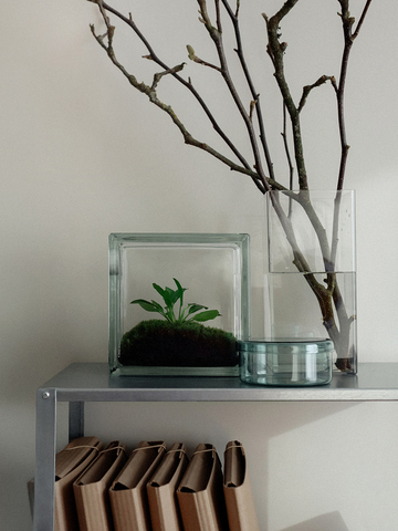 Подорожник / Лидер мнений среди удобрений х HEIS