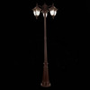 Светильник уличный ST Luce Chiani SL083.705.03
