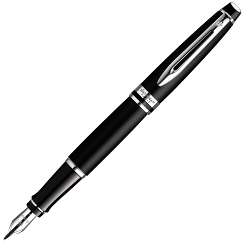 Ручка перьевая Waterman Expert Matte Black CT, F (S0951840)