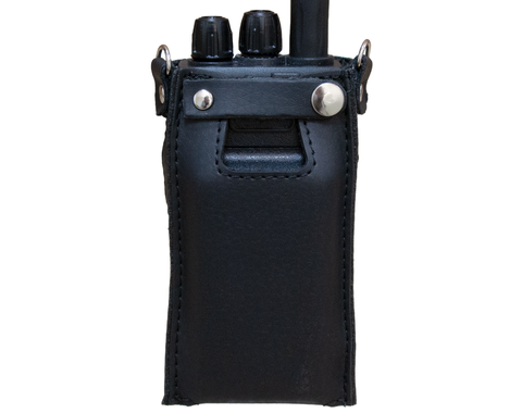 Чехол Аргут CH-24