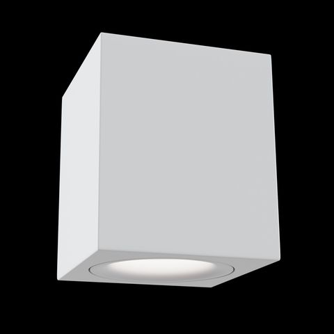 Потолочный светильник Technical Alfa C013CL-01W