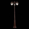 Светильник уличный ST Luce Chiani SL083.705.03