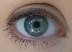 El Corazon карандаш для глаз 118 Chestnut