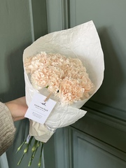 Моно букет из диантусов