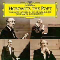 Vladimir Horowitz / Horowitz The Poet (LP)