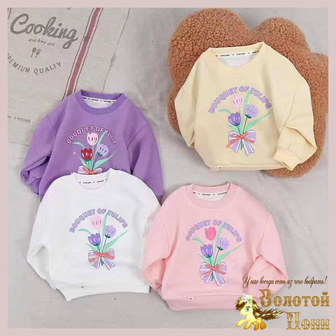 Свитшот детский (1-5) 240817-XS1068