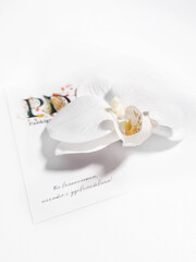 Заколка-зажим Pankigno Design с большим цветком орхидеи