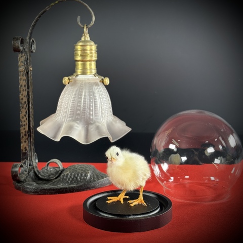 Цыплёнок в клоше