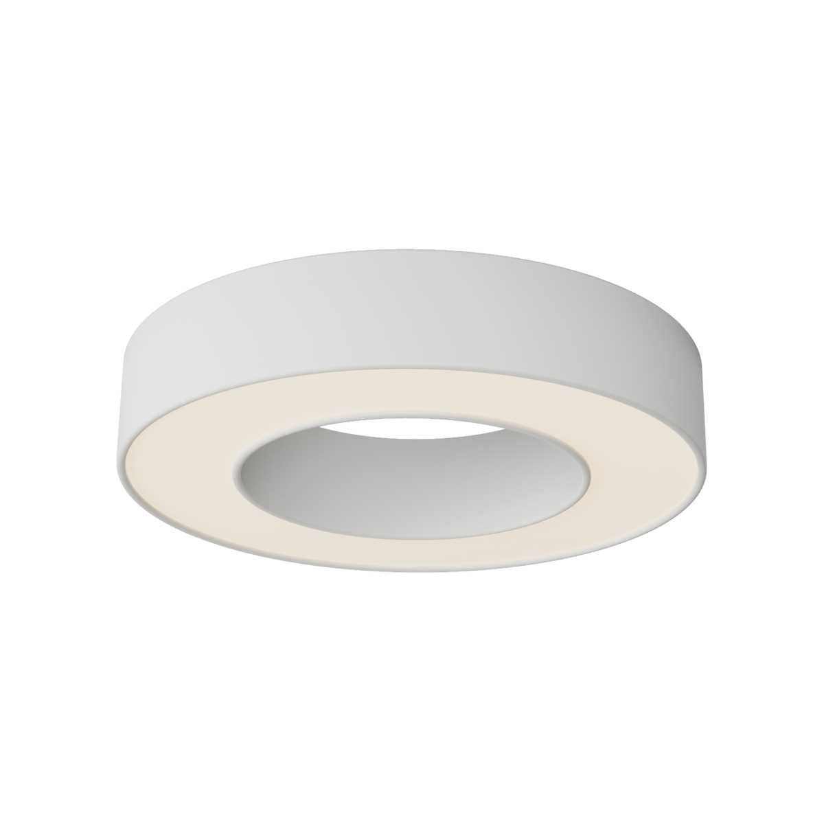 Потолочный светильник Maytoni Technical C093CL-24W3K-W