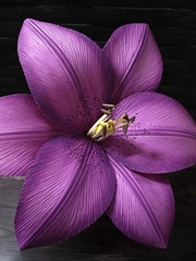 Молд пластиковый Б-12 лепесток лилии 29,5х14,5см