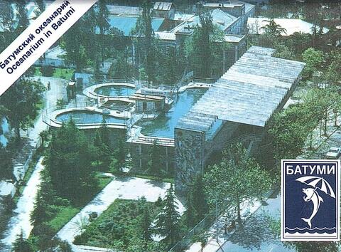Батумский океанарий