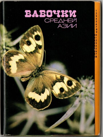 Полный набор цветных открыток "Бабочки Средней Азии" 18 штук 1989 года СССР