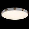 Потолочный светильник Loft It Axel 10006/36 White