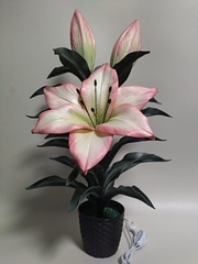 Молд пластиковый Набор 