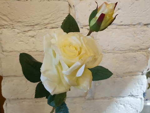 роза, 44см , цвет белый-светло салатный