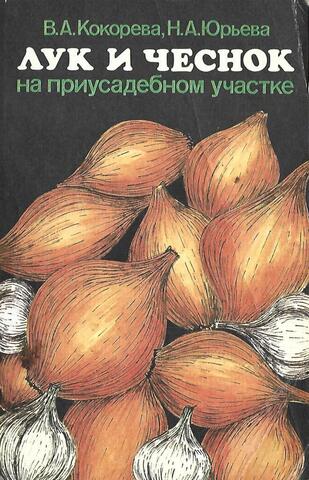 Лук и чеснок на приусадебном участке