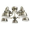 Люстра Arte Lamp Martin A5216PL-5AB