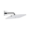 Душ верхний 36х19 см Hansgrohe Raindance Е 27371000