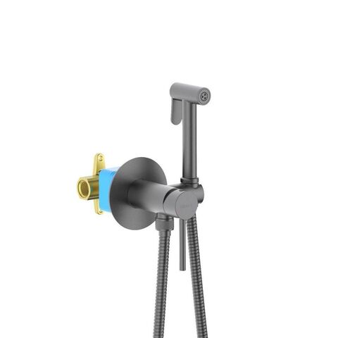 Aquatek AQ1021BGM AQ1021BGM ЕВРОПА комплект для гигиенического душа встроенный (смеситель + гигиеническая лейка + шланг), шлиф. черный хром