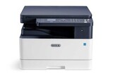 МФУ Xerox B1022DN  (B1022V_B)