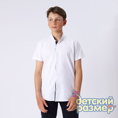 белый
