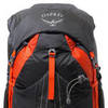 Картинка рюкзак туристический Osprey exos 48 Blaze Black - 9