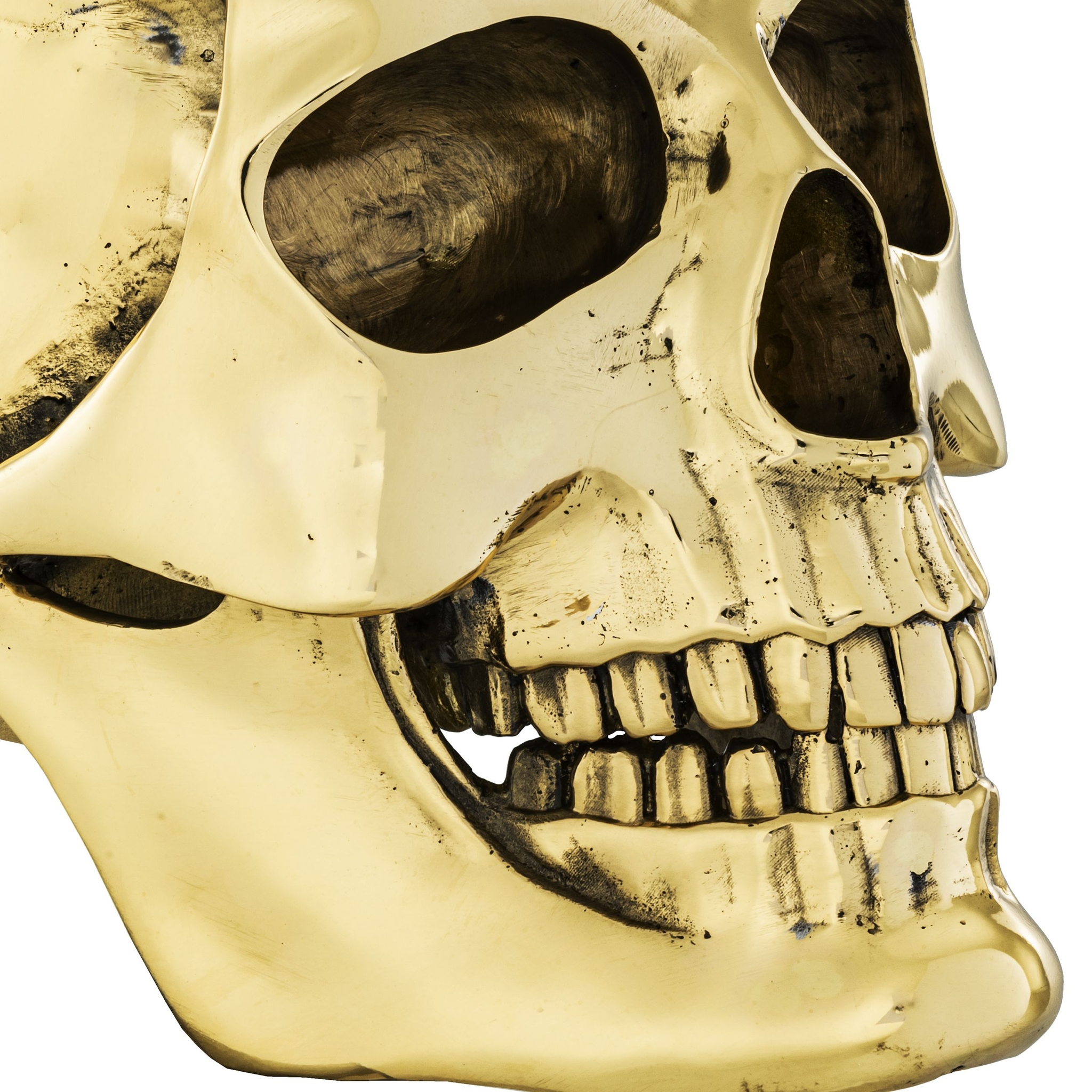 Gold skull фото