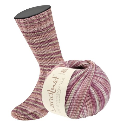 Пряжа Lana Grossa Landlust die Sockenwolle IV 809