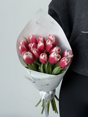 Букет из 15-ти красно-белых тюльпанов